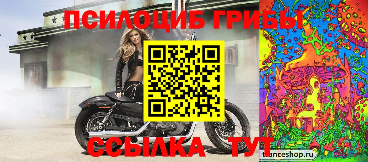 Галлюциногенные грибы Magic Shrooms Иваново