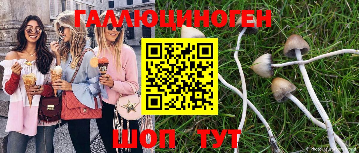 Галлюциногенные грибы мицелий  Вход с VPN  Иваново 